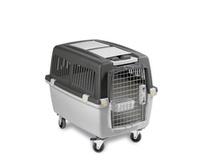 Prepravné boxy pre psov