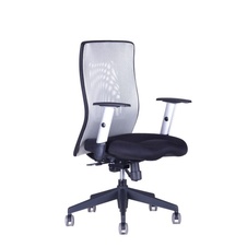 Kancelárska stolička CALYPSO XL BP, sivá