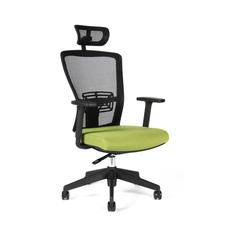 Kancelárska stolička Themis s podhlavníkom, zelená