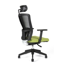 Kancelárska stolička Themis s podhlavníkom, zelená