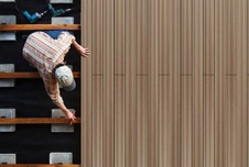 Terasová doska G21, 2,5x14,8x300 cm, Dark Wood WPC - 12